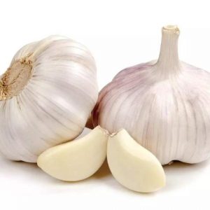 Fresh Garlic 新鲜大蒜  5pcs