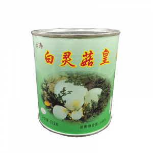 HJS Bailing Mushroom 海吉膳白灵菇皇罐头 815g