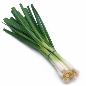 Green Onion 葱仔 1 batch