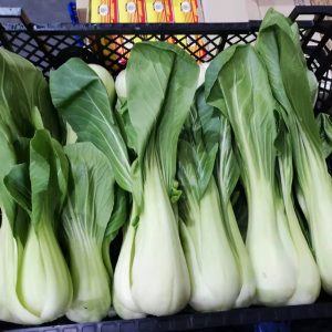 Shanghai Pak Choi 新鲜油菜 1.5kg