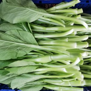 Local Choi Sam 广东菜心 1.5kg