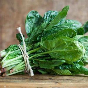 Fresh Spinach 新鲜菠菜