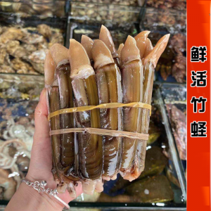 Razor Clams 鲜活大竹蛏 12pics