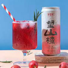 HWS Sparkling Water Hawthorn 山楂维C气泡果汁 330ml