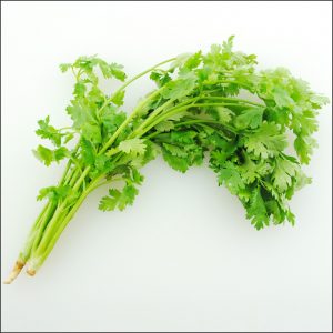 香菜 Fresh Coriander-1 Bunch