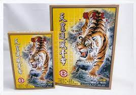 香港特效药 猛虎王天皇追风膏布 10片装