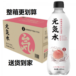 元气森林 气泡水 整箱 （指定口味请询问客服 wx：ShopOri）