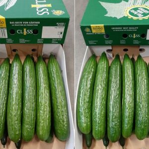 黄瓜 盒装
